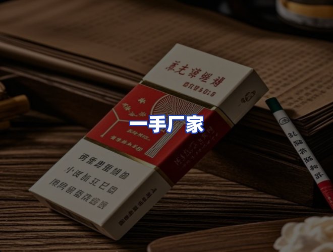 专业团队